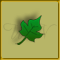 Feuille